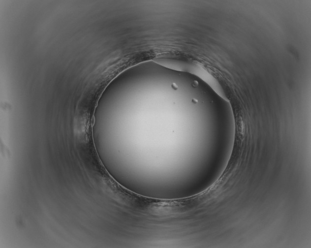 X0000090900082200708061512