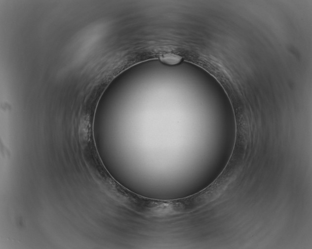 X0000090900083200708061512