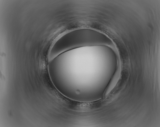 X0000090900084200708061512