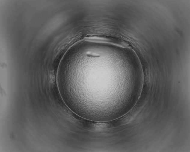 X0000090900085200708061512