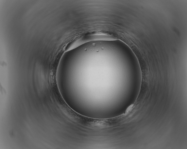 X0000090900086200708061512