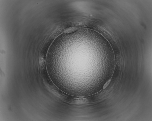 X0000090900087200708061512