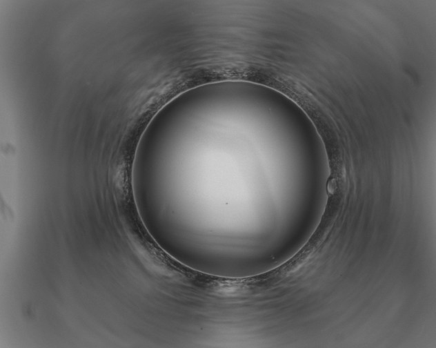 X0000090900088200708061512