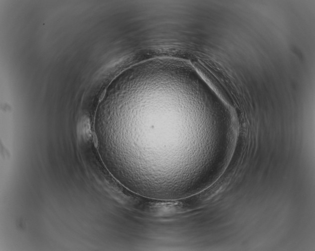 X0000090900089200708061512