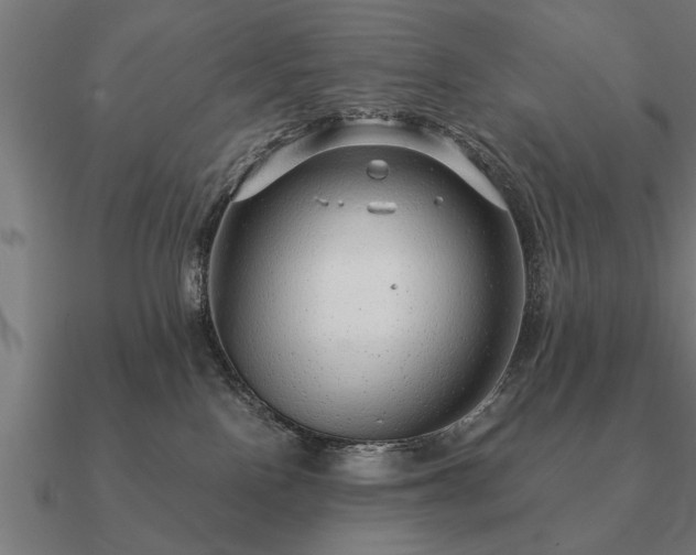 X0000090900090200708061512