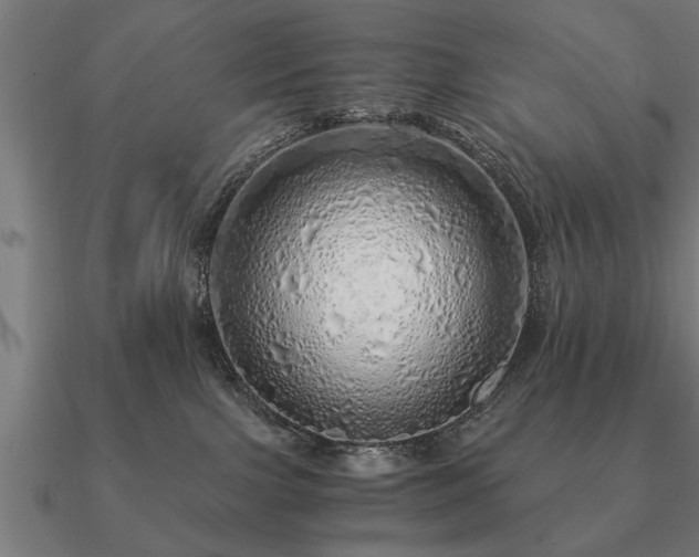 X0000090900091200708061512