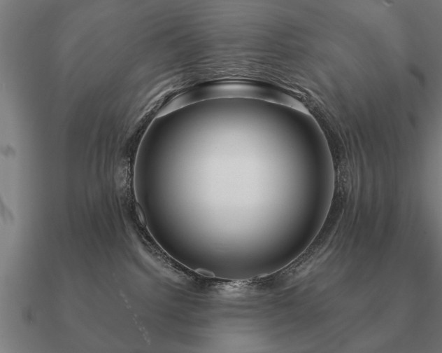 X0000090900092200708061512