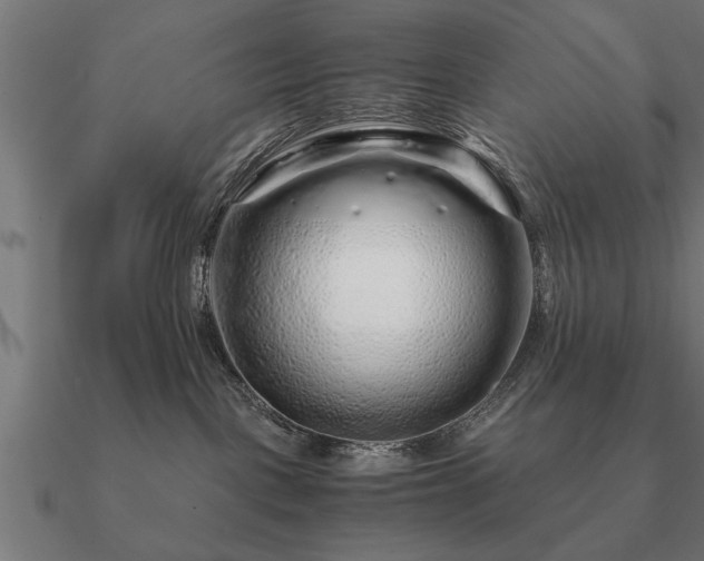 X0000090900093200708061512