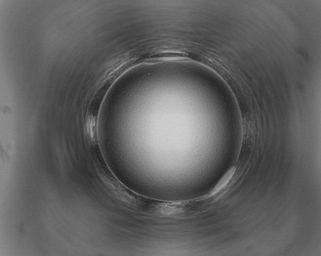 X0000090900094200708061512