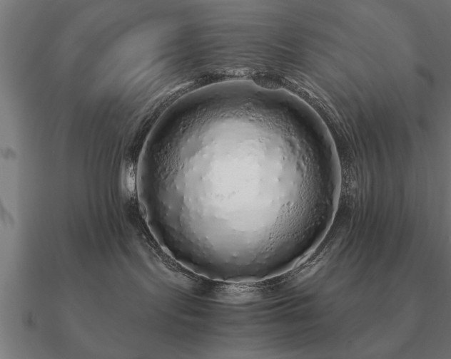 X0000090900095200708061512