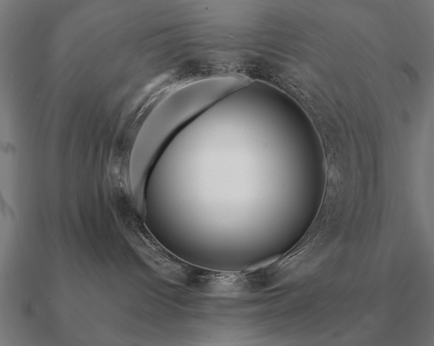 X0000090900096200708061512