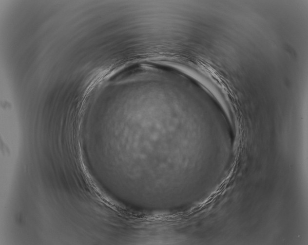 X0000090900097200708061511