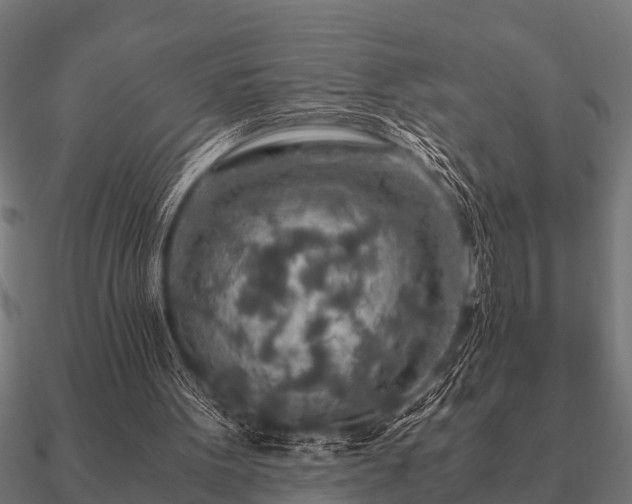 X0000090900099200708061511