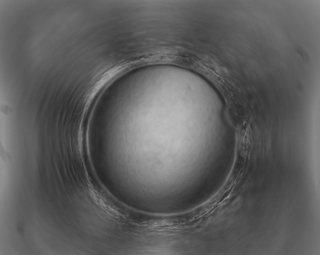 X0000090900100200708061511