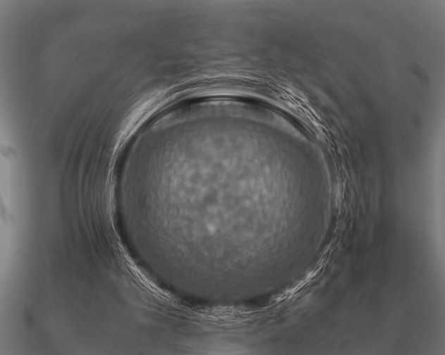 X0000090900101200708061511