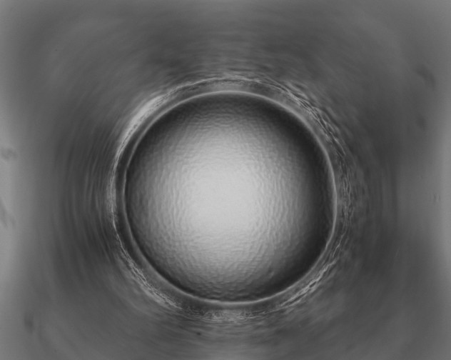 X0000090900102200708061511