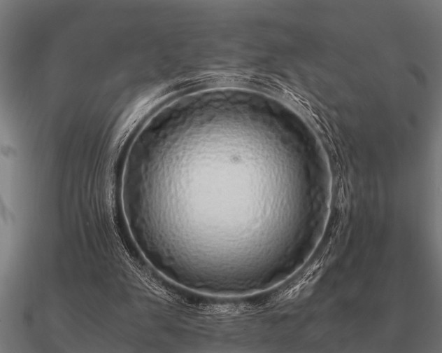 X0000090900103200708061511