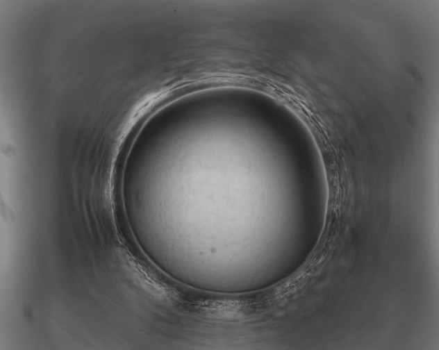 X0000090900104200708061511