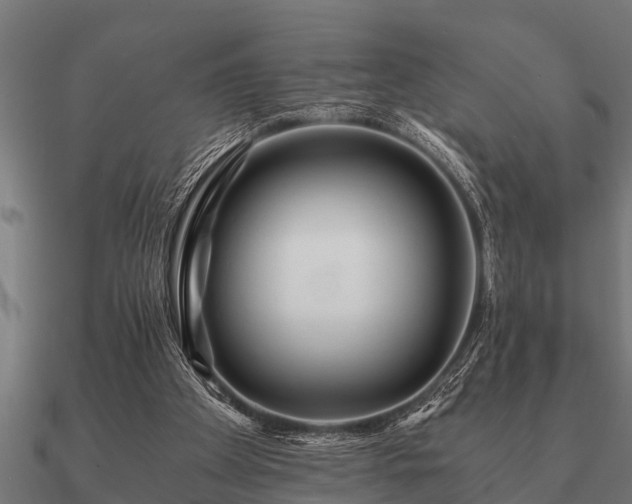 X0000090900105200708061511