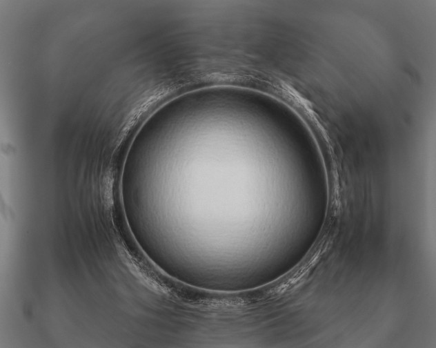 X0000090900106200708061511