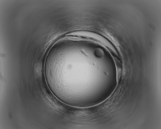 X0000090900107200708061511