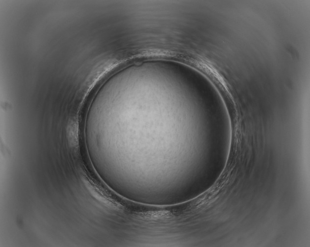 X0000090900108200708061511