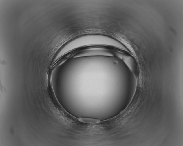 X0000090900109200708061511