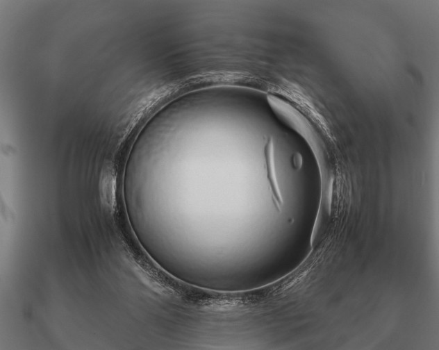 X0000090900110200708061511