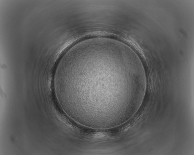 X0000090900111200708061511