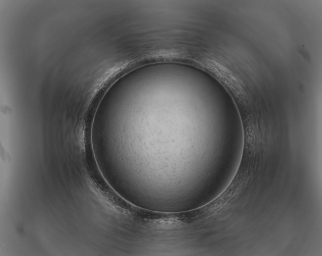 X0000090900112200708061511