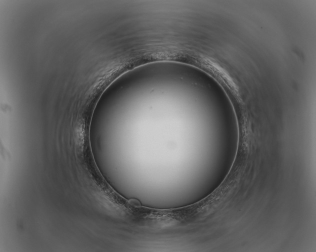 X0000090900113200708061511