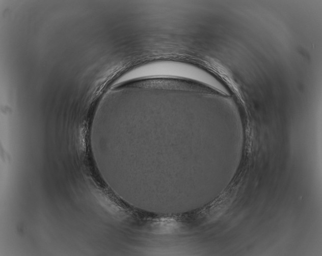 X0000090900114200708061511