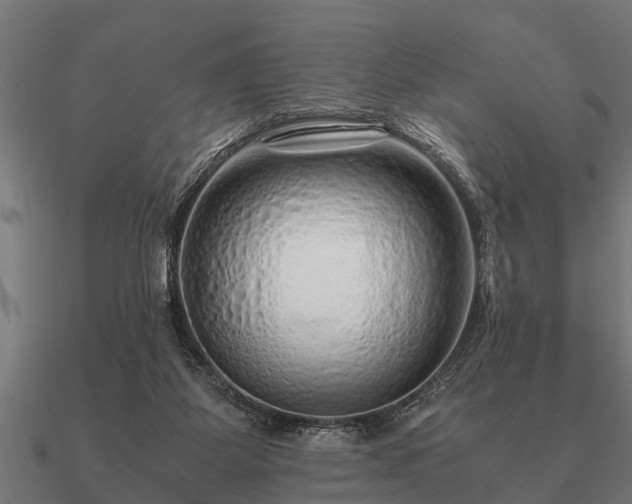 X0000090900115200708061511