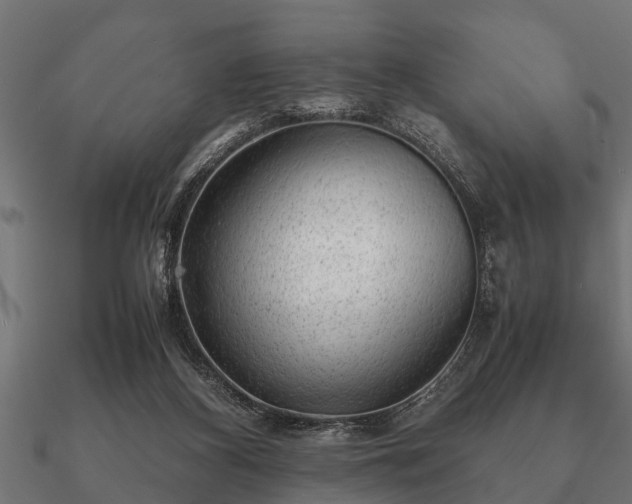 X0000090900116200708061511