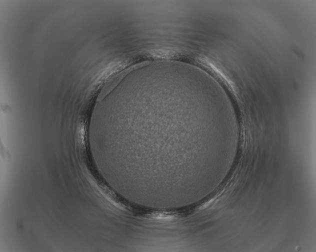 X0000090900117200708061511