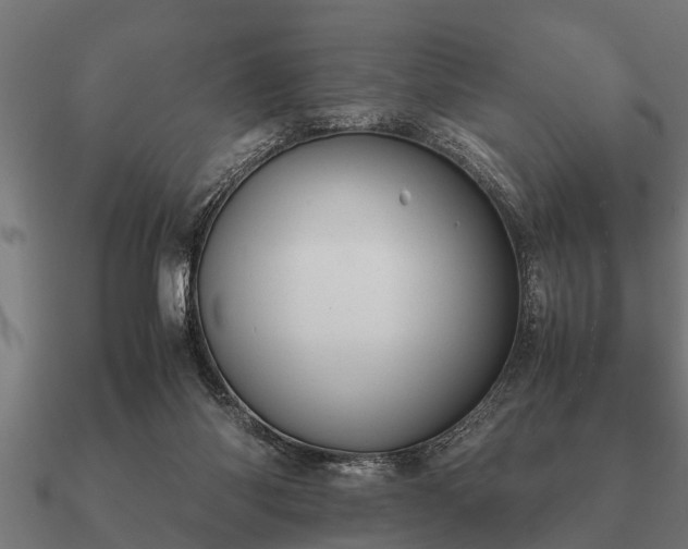 X0000090900118200708061511