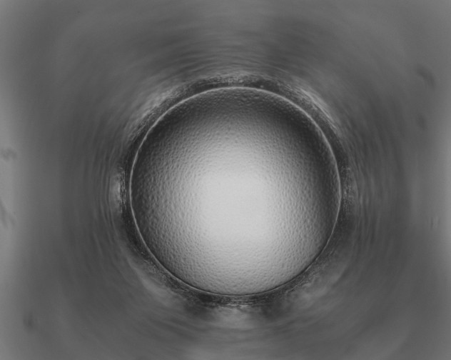 X0000090900119200708061511