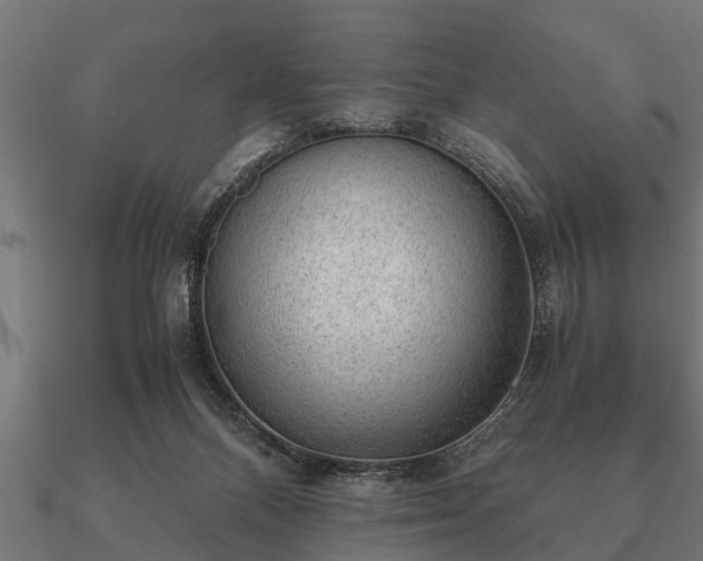 X0000090900120200708061511