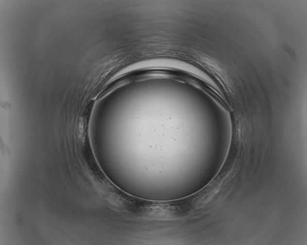 X0000090900121200708061511