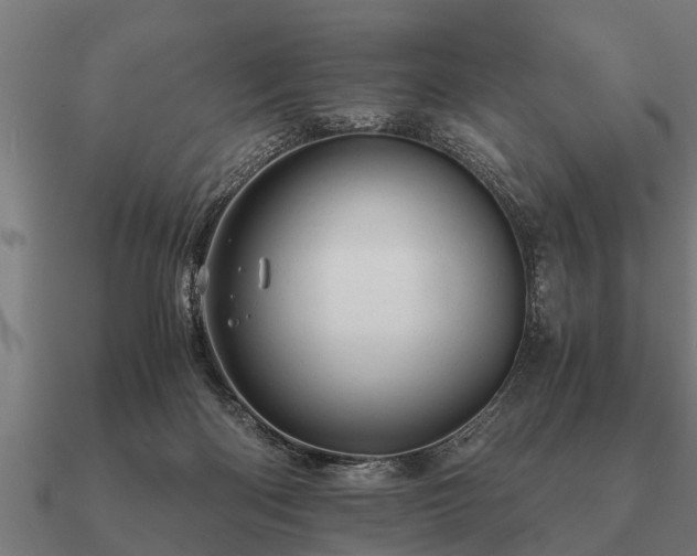 X0000090900122200708061511