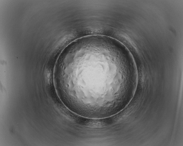 X0000090900123200708061511