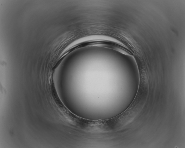 X0000090900125200708061511