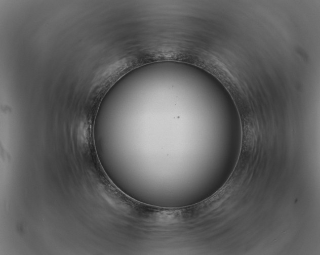 X0000090900126200708061511