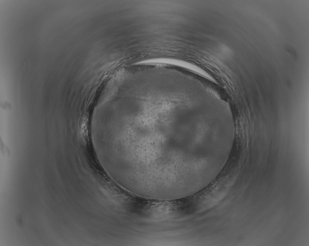 X0000090900127200708061511