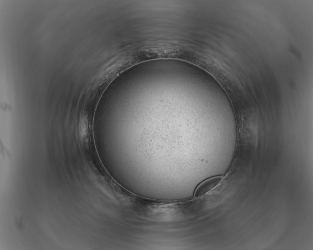 X0000090900132200708061511