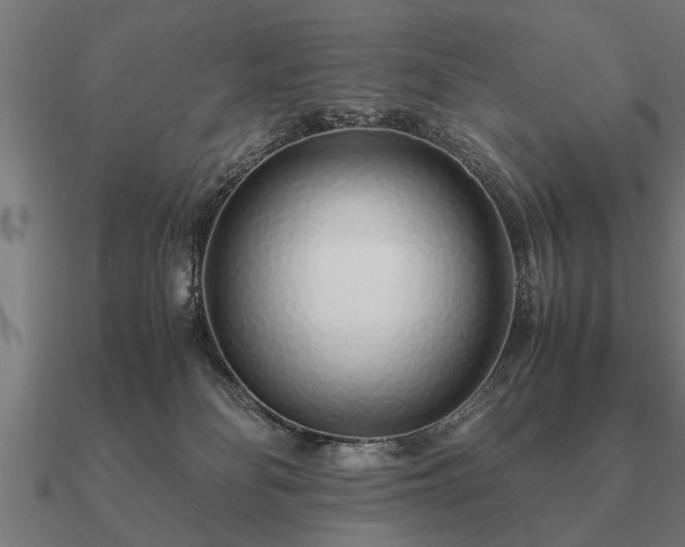 X0000090900134200708061511