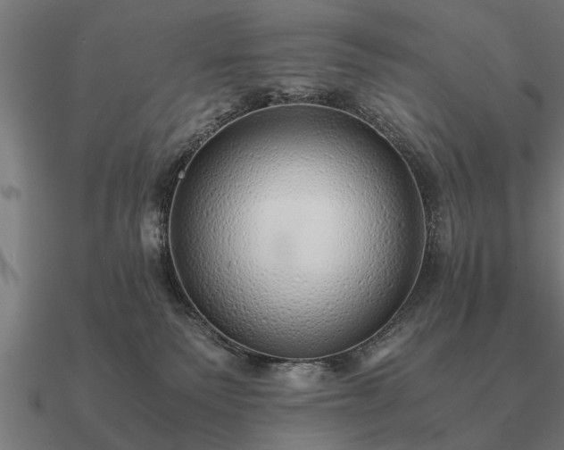 X0000090900135200708061511