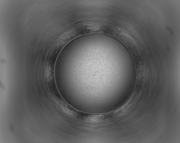 X0000090900136200708061511