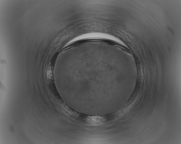 X0000090900137200708061511