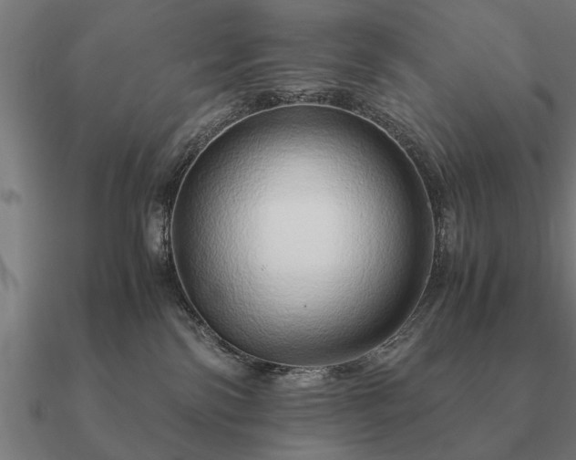 X0000090900138200708061511